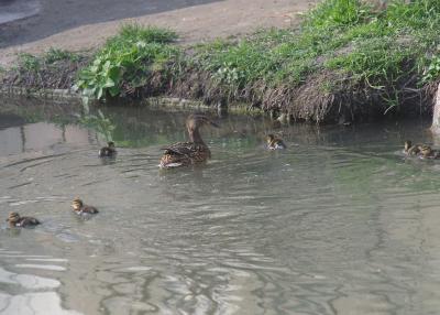 Прикрепленное изображение: 002.jpg